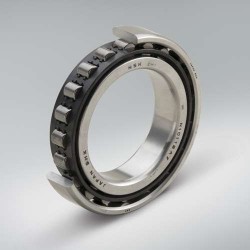 Robustride bearings